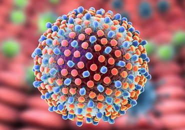 РНК гепатита